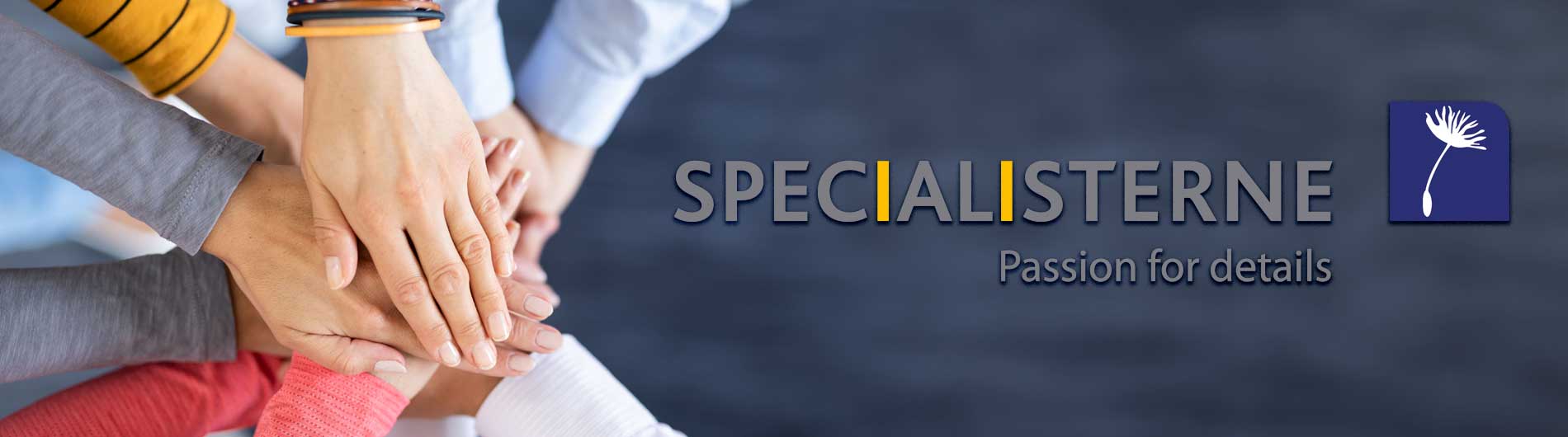 logotipo-sombra-negra-v1c-BannerSlider1AboutSpecialisterne